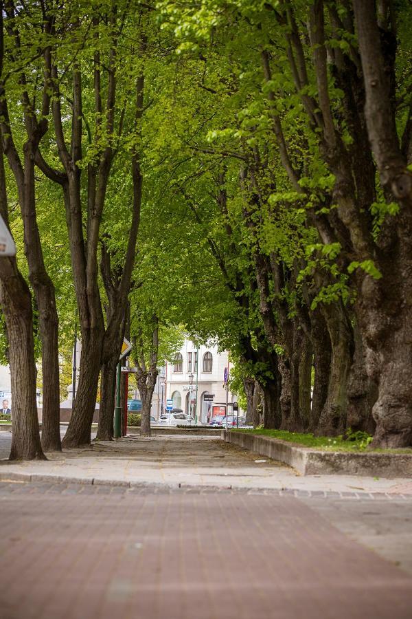Ferienwohnung Dvieju Kambariu Butas Klaipedos Centre Klaipėda Exterior foto